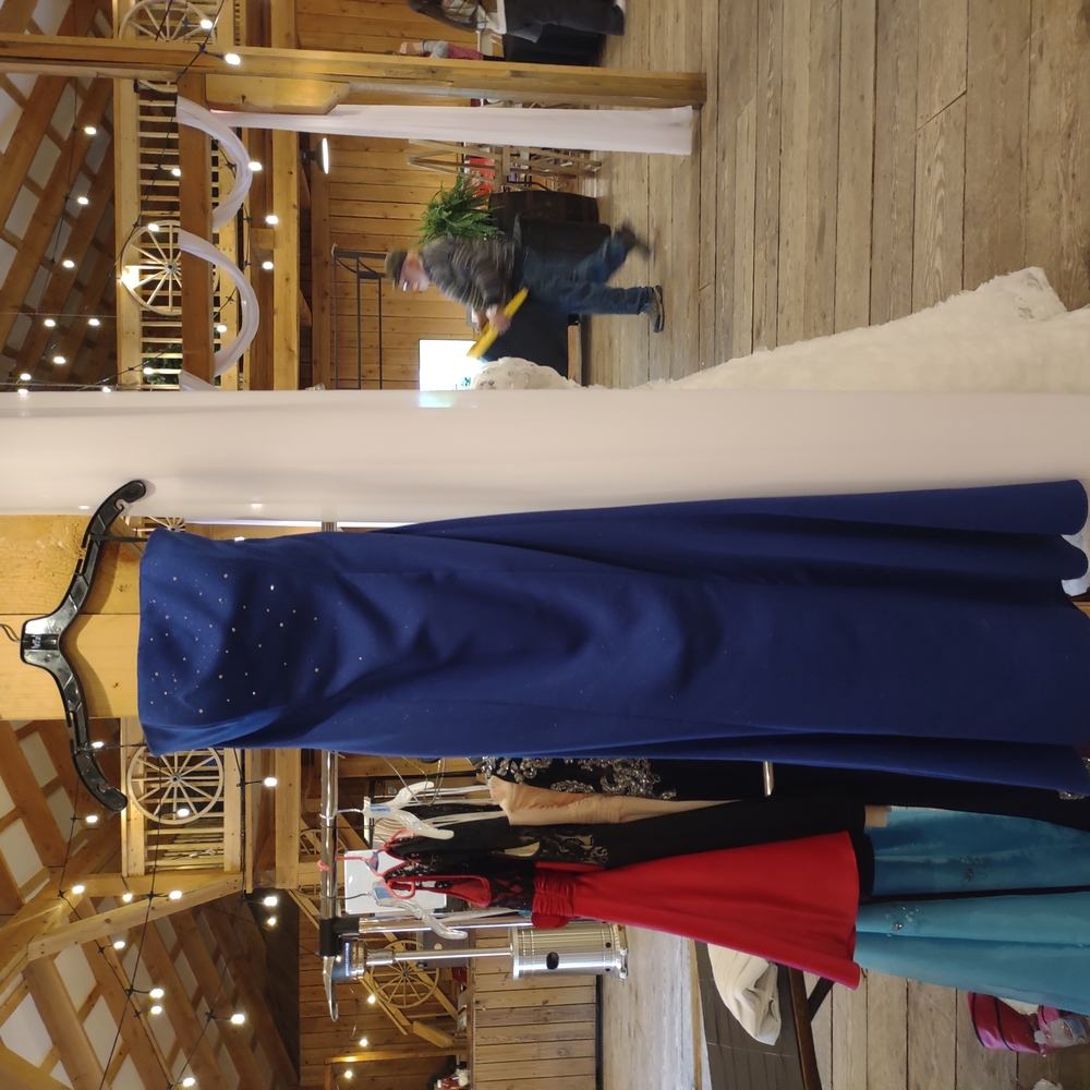 Elegant Blue Strapless Gown